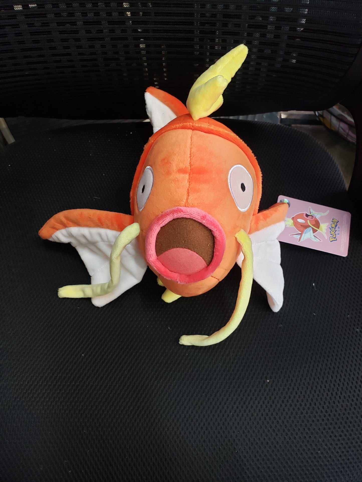 Plushie- Pokemon